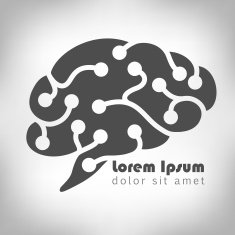 it brain logo 2 N2