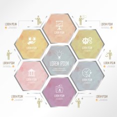 light blue pink hexagon business infographic