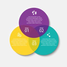 Vector colorful info graphics for your business presentations N13
