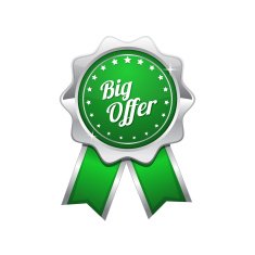 Big Offer Green Vector Icon Design