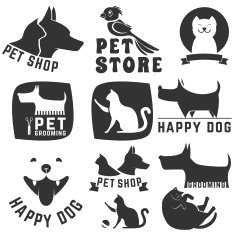 pet store