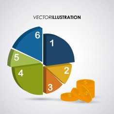 Infographic Design N13