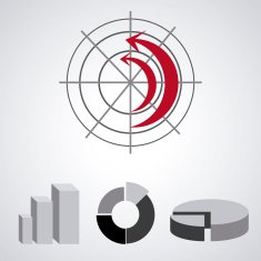 Infographic Design N28