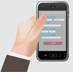 Online payment phone
