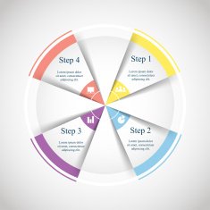 Vector circle infographic N14