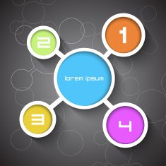 Infographic design on the grey background Vector illustrator