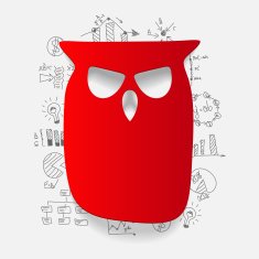 Drawing business formulas owl N2