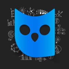 Drawing business formulas owl N4