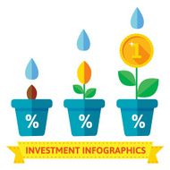 Infographics of flowers in pots