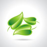 Eco icon green leaf vector illustration isolated N2