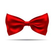 Vector of black silk bow tie on a background