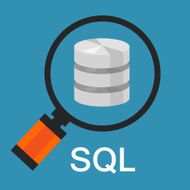 sql structured query language database search data code N2