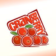 Vector illustration on the theme of cranberry