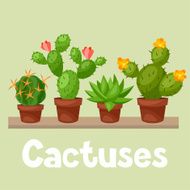 Collection of abstract cactuses in flower pot on shelves N3