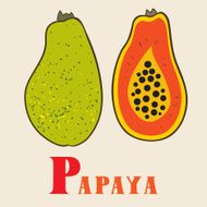 P for papaya Vector Illustration hand-drawn style