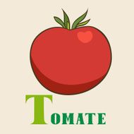 T for tomate Vector Illustration hand-drawn style