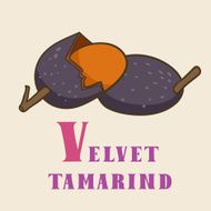 V for velvet tamarind Vector Illustration hand-drawn style