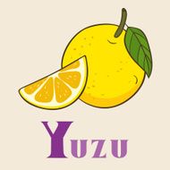 Y for yuzu Vector Illustration hand-drawn style