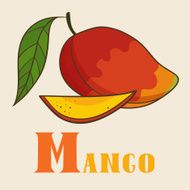 M for mango Vector Illustration hand-drawn style