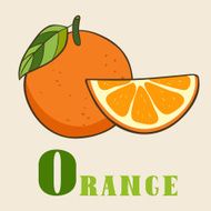 O for orange Vector Illustration hand-drawn style