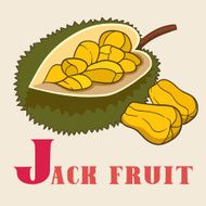 J for jeck fruit Vector Illustration hand-drawn style
