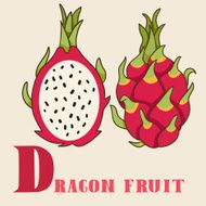 D for dragon fruit Vector Illustration hand-drawn style