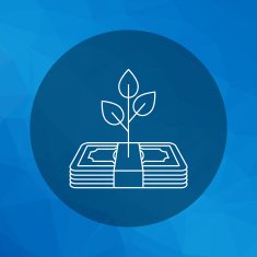 Growing profit icon