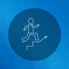 Career Ladder N9