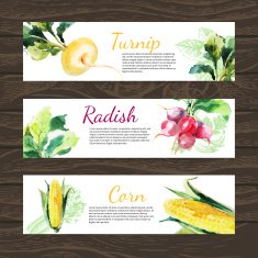 Watercolor and sketch vegetables organic food horizontal banner