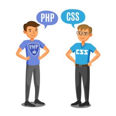 Programmers developers process coding teamwork Communication N5