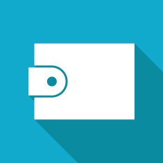 purse icon N4