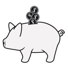 Money design N13