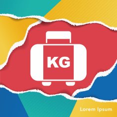 luggage icon N4