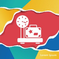 luggage icon N10