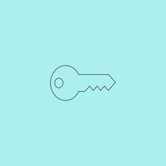 Key vector icon