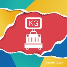 luggage icon N13