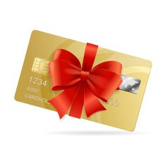 Credit Card Present Vector