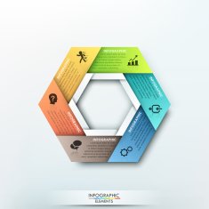 Modern infographics options banner N49