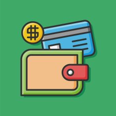 Wallet Icon N2