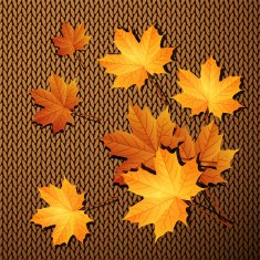Autumn leaves on a knit background