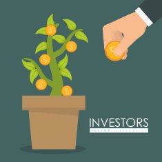 Business investors N2