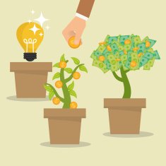 Business investors N13