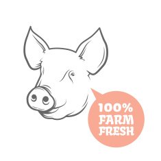 Pig logo design template