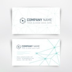 Business Cards N5