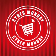 Cyber monday ecommerce design N30