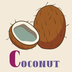 &ETH;&iexcl; for coconut Vector Illustration hand-drawn style