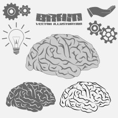 Vector Brain icon