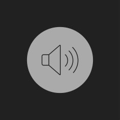 Speaker Volume Icon N6