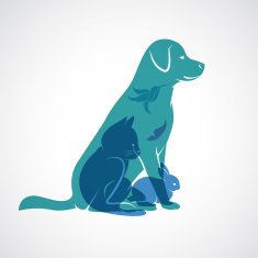 Vector group of pets - Dog cat bird butterfly rabbit