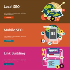 SEO & Development N16
